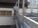 10082010513.jpg 10082010513.jpg