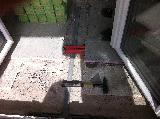 IMG 0060.JPG