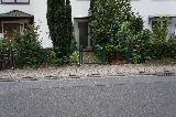 DSC01010.JPG